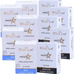 Ayurvedic Herbal Cigarettes Premium Mint, Regular Flavoured With Ayurvedic Herbs Smoking Cessations-picture-24