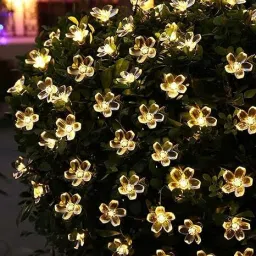 16 LEDs 3 m Yellow Steady String Rice Lights-image-63