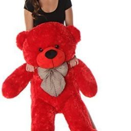 2 Feet Red Teddy for Birthday Gift for Girls and Teens - 60.96 cm-image-1