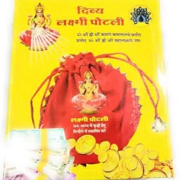 Women Red Potli-image-69