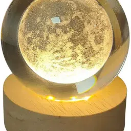 Table Floor Lamp-43