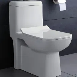/Water Closet With Soft Close Toilet Seat Premium Grade Ceramic's One Piece Western Commode-28