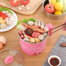 Travel Cooker, Food Steamer, Egg Boiler, Rice Cooker Egg Cooker-20