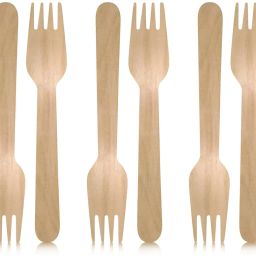 Wooden Forks Biodegradable and Earth Friendly, 6 Inch Length - 1 Pack of 100 pcs Disposable Wooden Baby Fork Set-26