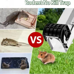 wengonvila Mouse Trap | Catch and Release Humane Mouse Traps That Work | Mice Trap No Kill Live Trap image 5