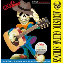 Acoustic A206P-SL Guitar String-image-22