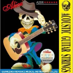 Acoustic 017 Guitar String-15