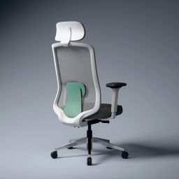 Cosmos Pro Minimal Design Ergonomic Office Chair | Intelli-Adapt | 4D armrest Mesh Office Adjustable Arm Chair-18