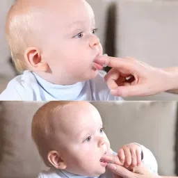 Finger Tooth Brush with Holder (Kids Toothbrush; Non-Toxic odorless Medium Toothbrush-image-14