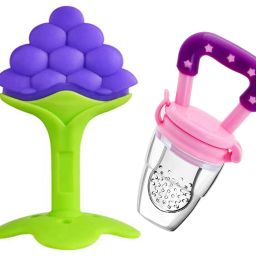 Non-Toxic Food-Grade Silicone Baby Teether With Fruit Feeder Pacifier Nibbler Teether and Feeder-image-40