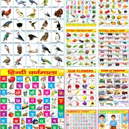 Early Learning Educational Chart for Kids | Learn About English Alphabet, Fruit, Vegetables, Animals, Birds, Part of Body, Hindi Vernmala, Transport, Numerical & Flower with Colourful Picture for Children Fine Art Print-11