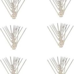 Bird Spike-image-4