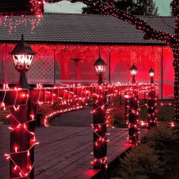 pesca 40 LEDs 11 m Red Steady String Rice Lights image 4