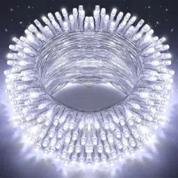 15 m White Rice Lights-18