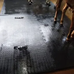 Feeding Mat Waterproof Black Cowmat Easy Clean With Raised Edges Cow, Dog, Hamster, Guinea Pig, Miniature Pig Pet Mat-image-49