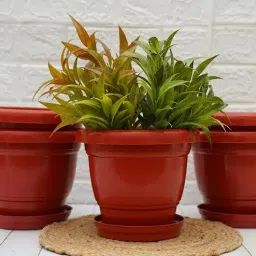 gold dust Brown Plastic (Set of 3) Desk Pots-picture-18