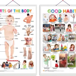 Pack of 2 Parts of the Body and Good Habits Educational charts with Lamination-image-39