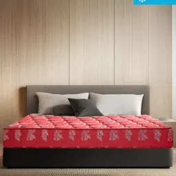 kurl-on Rutile 6 Inch Natural Coir Queen Size Mattress-picture-11