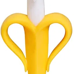 Toothbrush Feeder-16