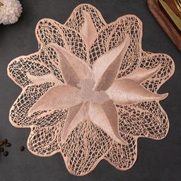 dakshya industries Round Pack of 2 Table Placemat-picture-12