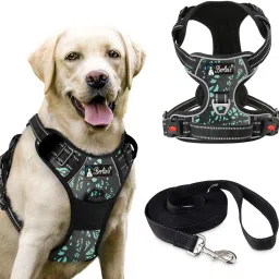Double Side/Body Ajustable Dog Harness with Leash Dog Collar & Leash-image-69