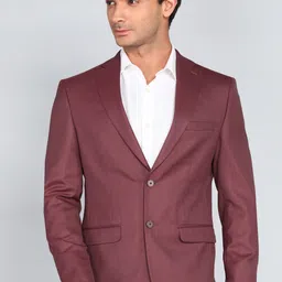 peter england Men 2 PC Suit Textured Suit-picture-6