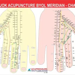 Sujok Byol Meridian Chart Paper Print-image-12