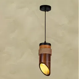 Pendants Ceiling Lamp-picture-24