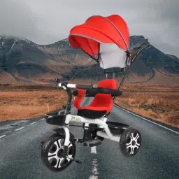 Canopy Tricycle with Soft Seat,Front-Back Basket,Parental Push Handle,Bell Kids Canopy Tricycle for Babys with New Colours Yellow::Black Tricycle-2