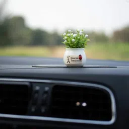 Car Dashboard Accessories Adorable Flower Pot (White) with Anti Slip Pad and Car Perfume Combo-image-62