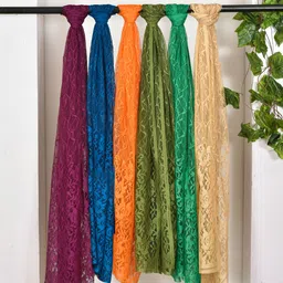nakoda creation Net Self Design Multicolor Women Dupatta-picture-27