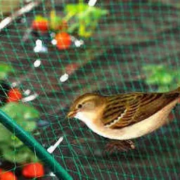 (GREEN) 18 PLY 10FT X 35FT Nylon Mesh Balcony Net / Bird Net / Monkey Net Child Protection Net Insect Net-17