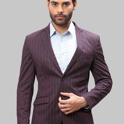 park avenue Men Striped Single Breasted Formal Blazer-picture-7