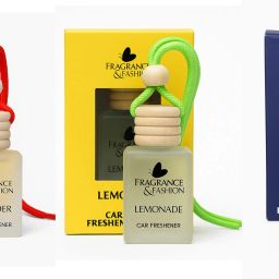Pleasant Car Freshener Diffuser-image-78