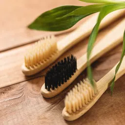 Eco Friendly 100%Natural Bamboo Toothbrush Teeth Whitening Soft Bristles Soft Toothbrush-image-8