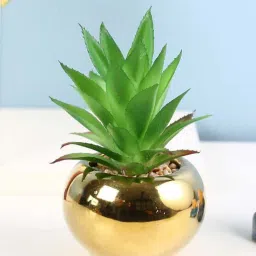 fourwalls Polyurethane Lucy Green Succculent In Ceramic Pot Artificial Plant-picture-1