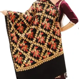 RADHE PRODUCTS Wool Embroidered Women Shawl-picture-2