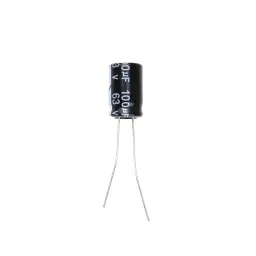 100 uF 63V Through Hole Electrolytic Capacitor (Pack of 30)-30