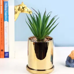fourwalls Polyurethane Melody Green Succculent In Ceramic Pot Artificial Plant-picture-30
