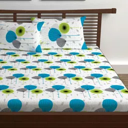 Divine Casa Blue & White Floral 144 TC Queen Bedsheet with 2 Pillow Covers-image-25