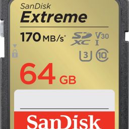 SanDisk Extreme 64 GB SDHC Class 10 170 MB/sMemory Card-20