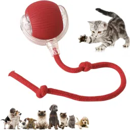 Rubber Ball For Dog & Cat-image-49