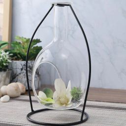 tayhaa Transparent Glass Flower Vase-picture-8