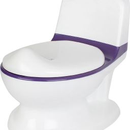 Comfy Potty Training Seat Cum Chair Potty Seat-image-25