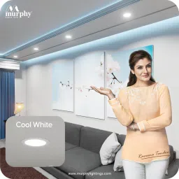 murphy 9W LED Down Light, Cool White Light, Round, Pack of 25 Ceiling Light Ceiling Lamp image 5