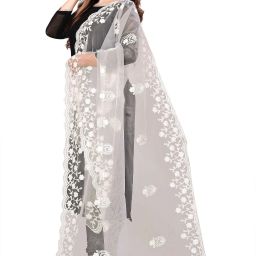 Net Embroidered White Women Dupatta-image-22