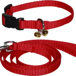 Good Quality Red Color 1/2 inch Puppy Belt/Puppy Collar Belt 1.5m lengthy Dog Collar & Leash-image-31