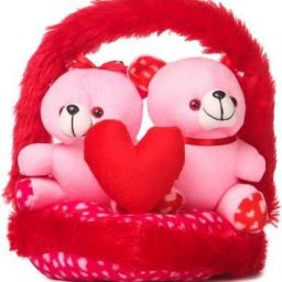 Couple Love Teddy Bears in Basket - 30.5 cm - 32 cm-14