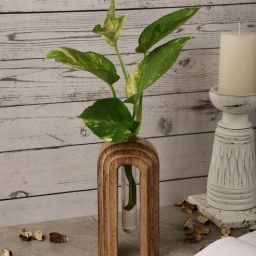 Natural MDF Planter by The Decor Mart-picture-28