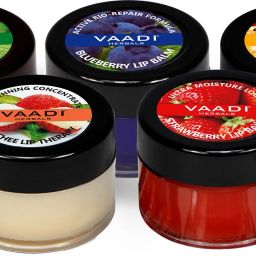 5 Lip Balms Super Value Pack Of Lip Balms (10 gms x 5)-image-67